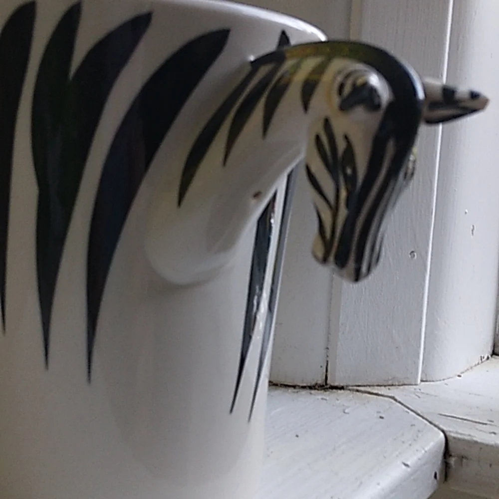 Pier 1 Zebra Mug